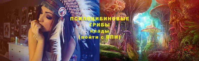 Псилоцибиновые грибы мицелий  Кудымкар 